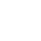 icon2-1 (1)